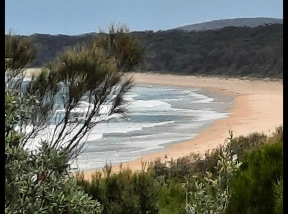 Photo of Others in Moruya Heads