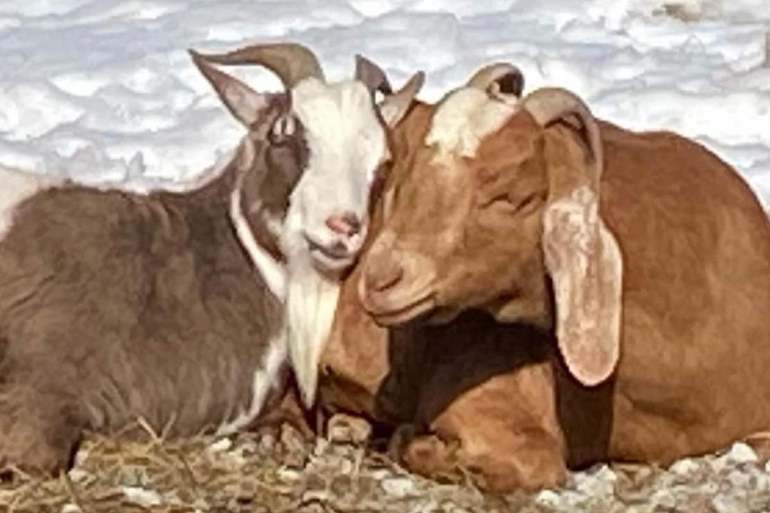 Photo of Others in Thompson Ridge