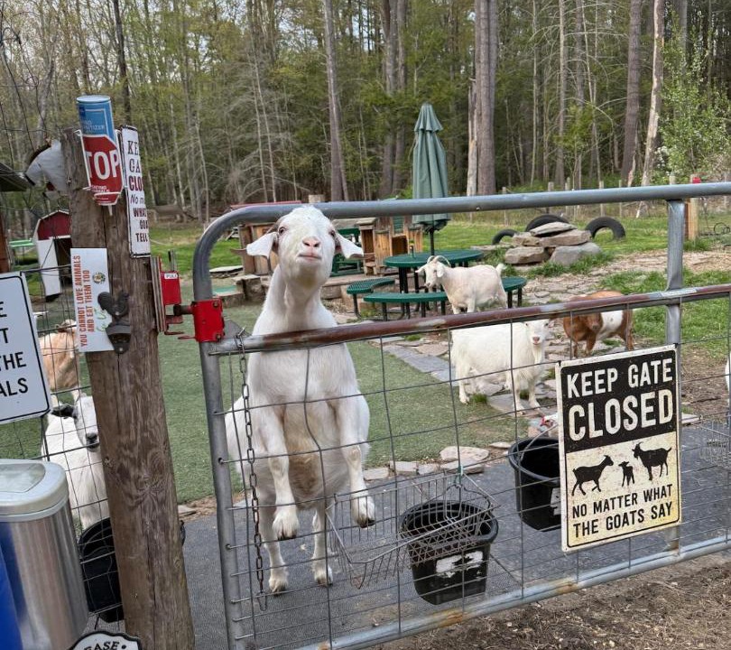 Photo of Others in Thompson Ridge