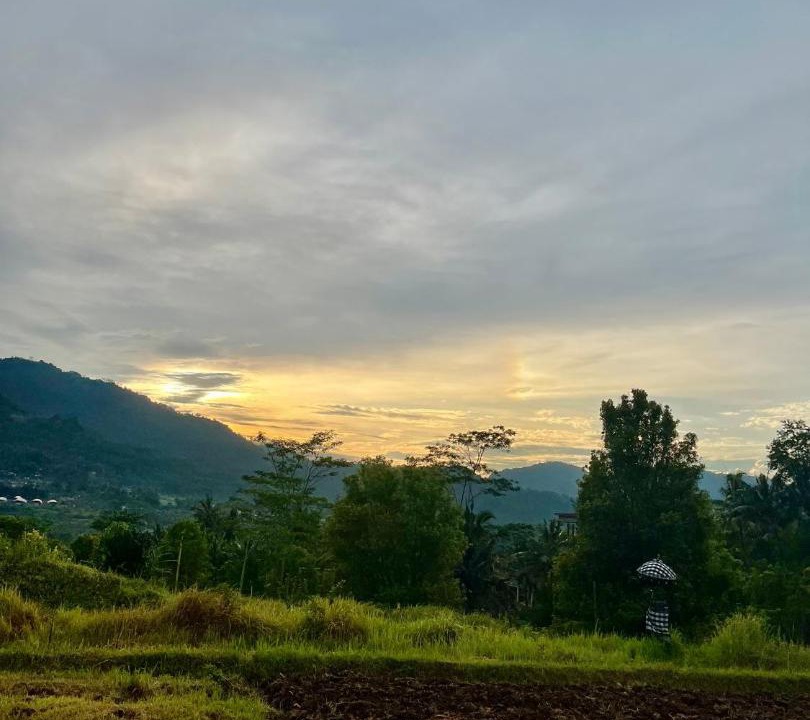 Photo of Others in Sidemen