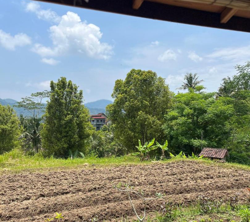 Photo of Others in Sidemen