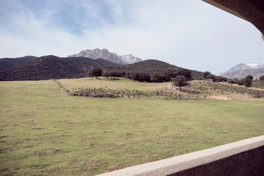 Photo of Others in Moltifao