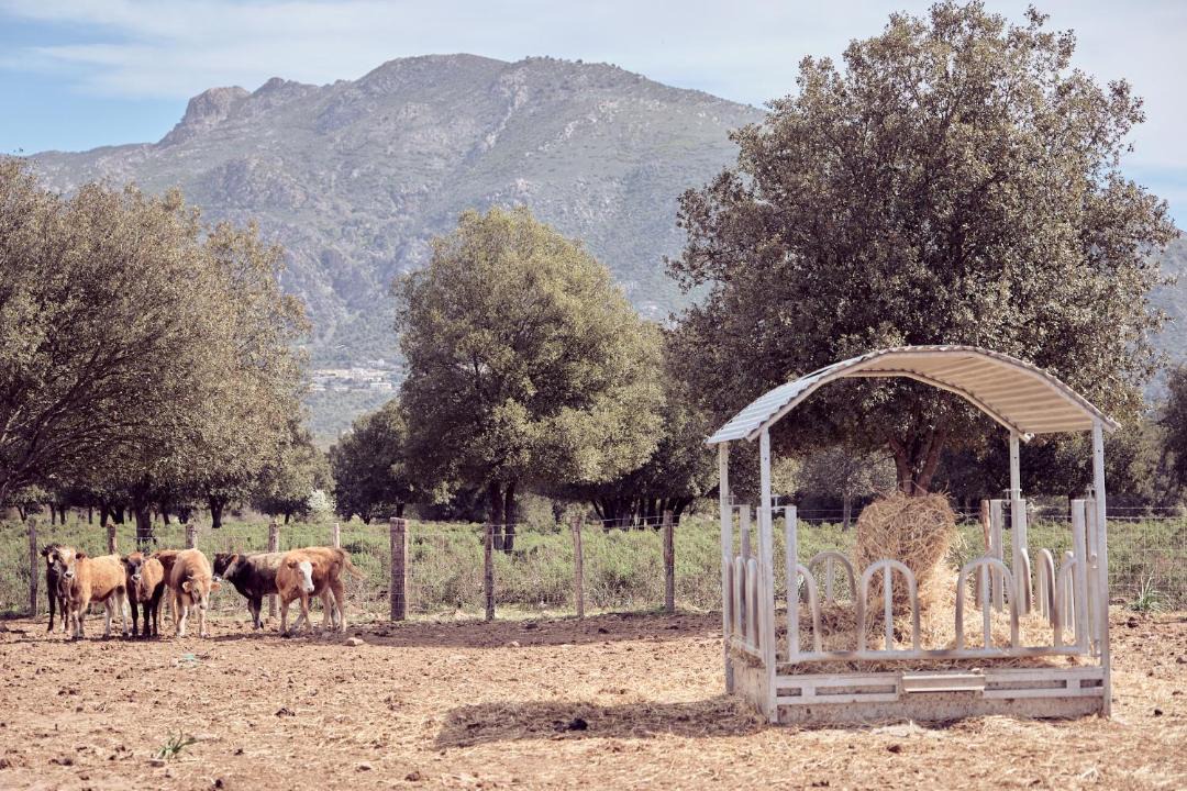 Photo of Others in Moltifao