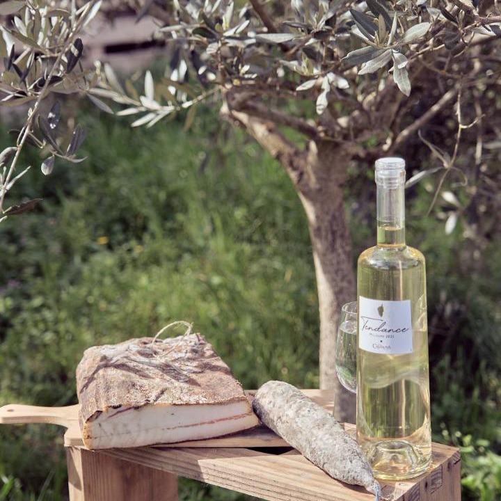 Photo of Others in Moltifao