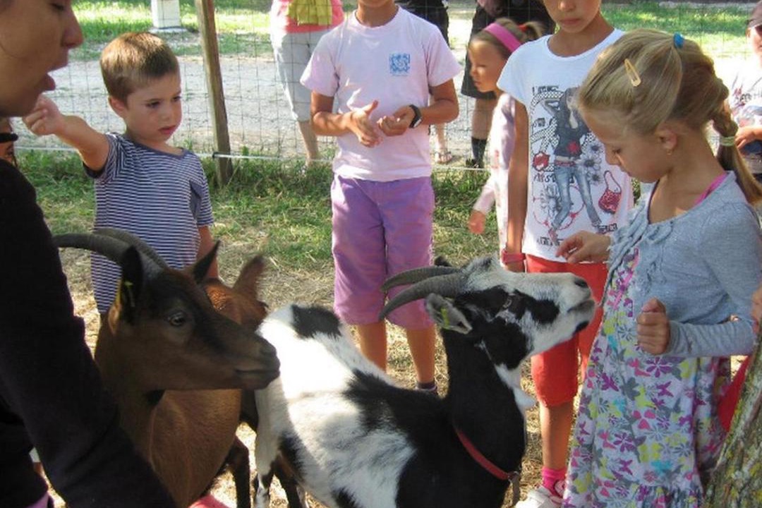 Photo of Others in Le Grand Serre