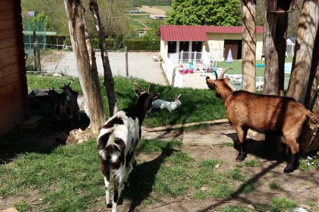 Photo of Others in Le Grand Serre