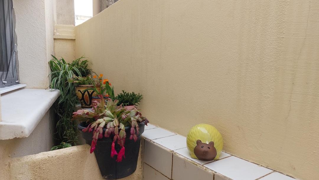 Photo of Others in Route d'Arles