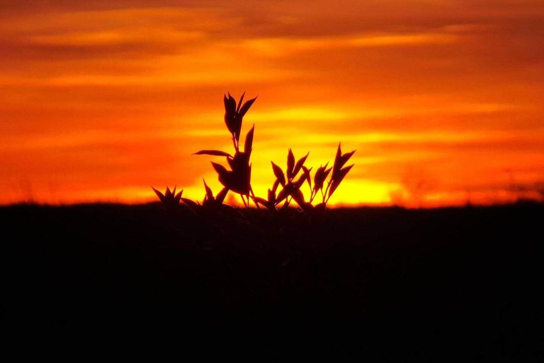 Photo of Others in Saint-Gervais-sur-Roubion