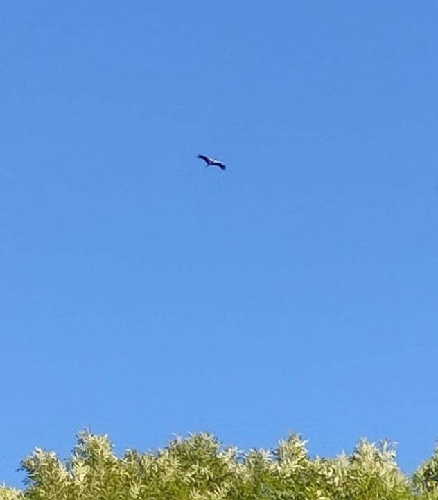 Photo of Others in Berville-sur-Mer