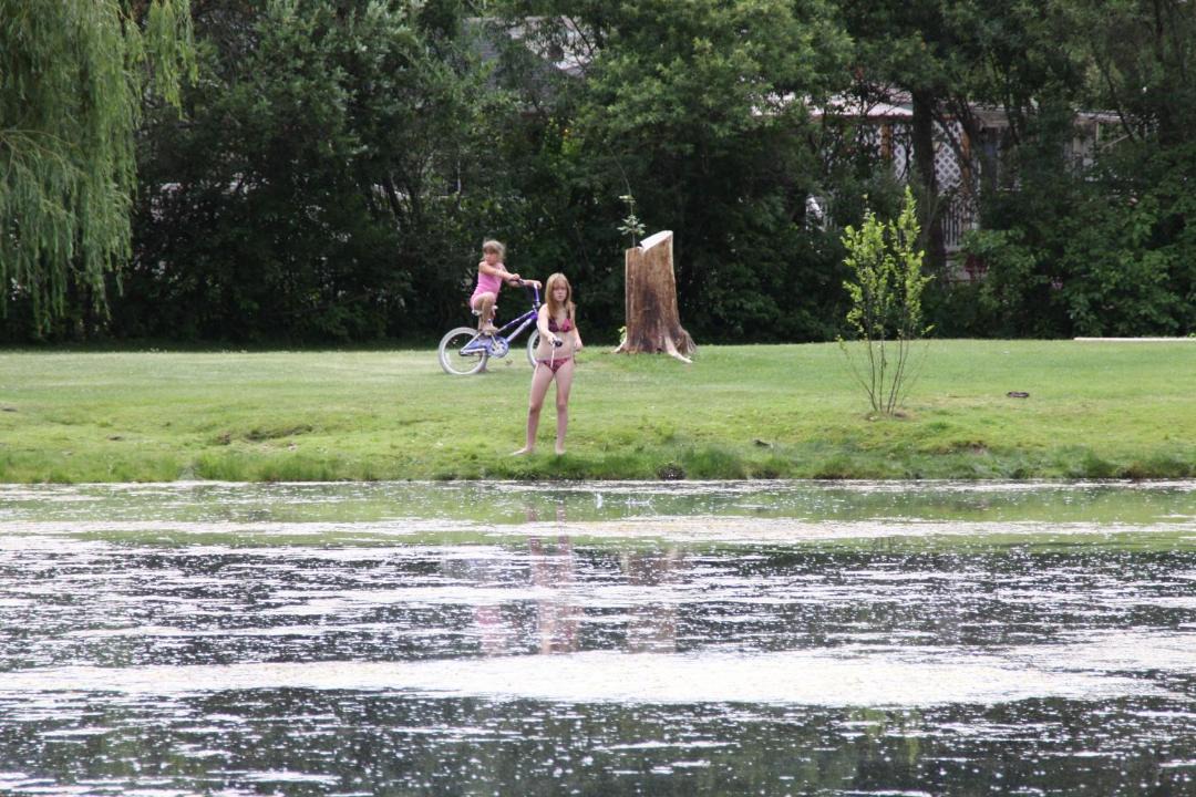 Photo of Others in Milton