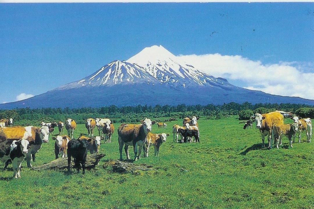 Photo of Others in Ohangai