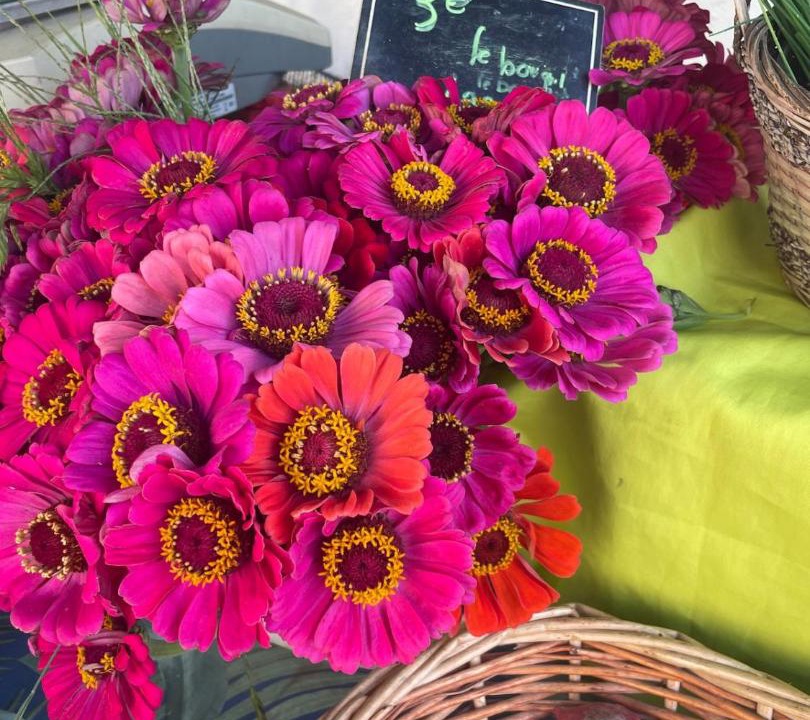 Photo of Others in Varen