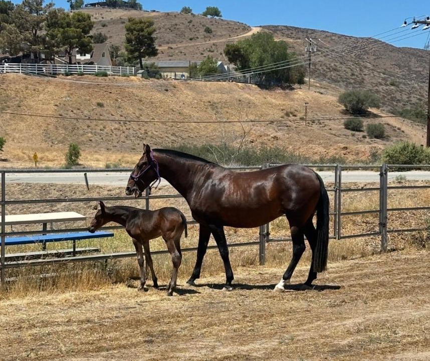 Photo of Others in Santa Clarita