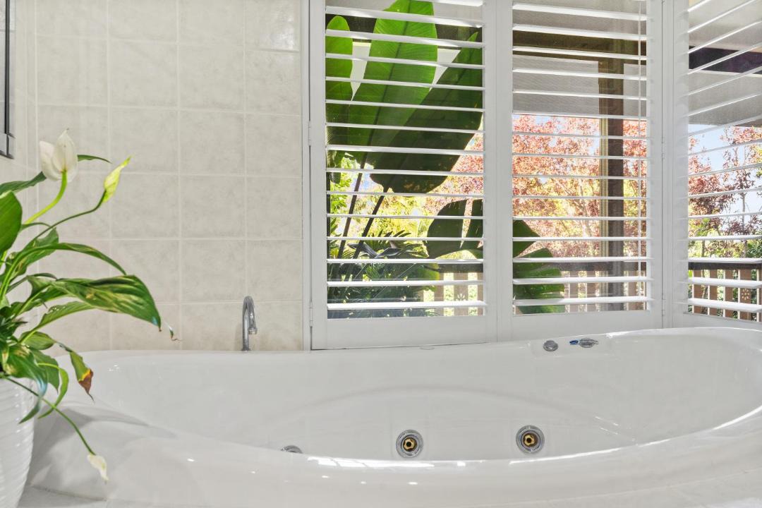 Photo of Others in North Tamborine