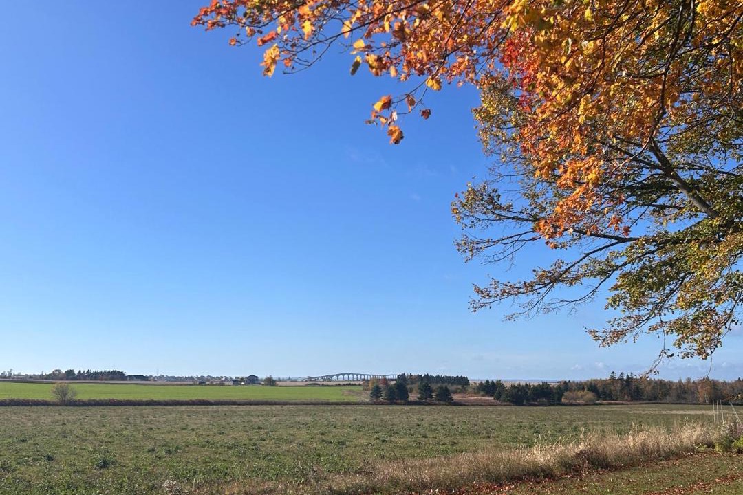 Photo of Others in Borden-Carleton