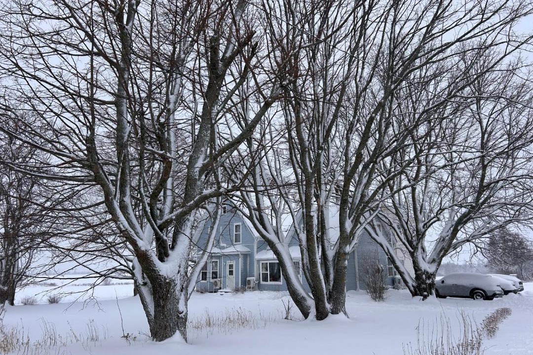 Photo of Others in Borden-Carleton