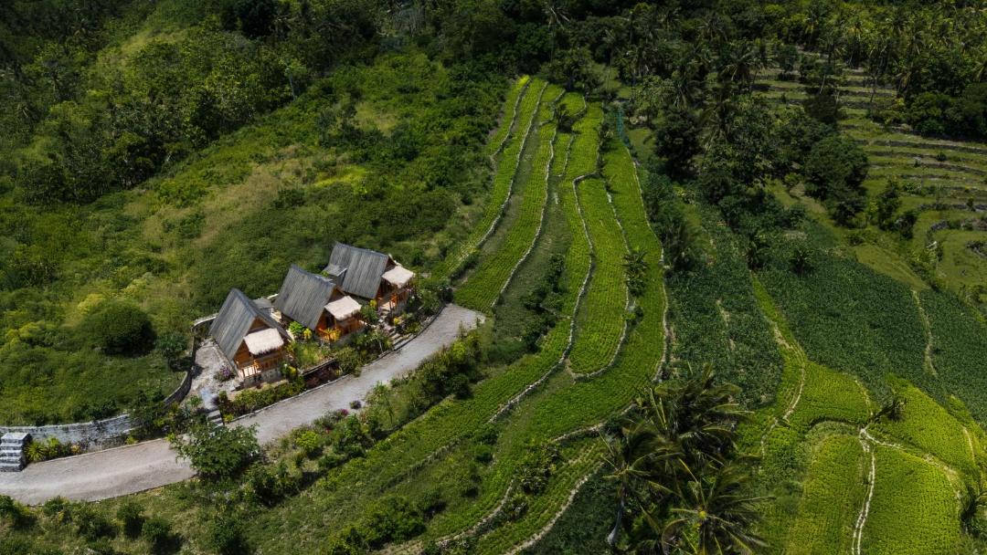 Photo of Others in Penida Island
