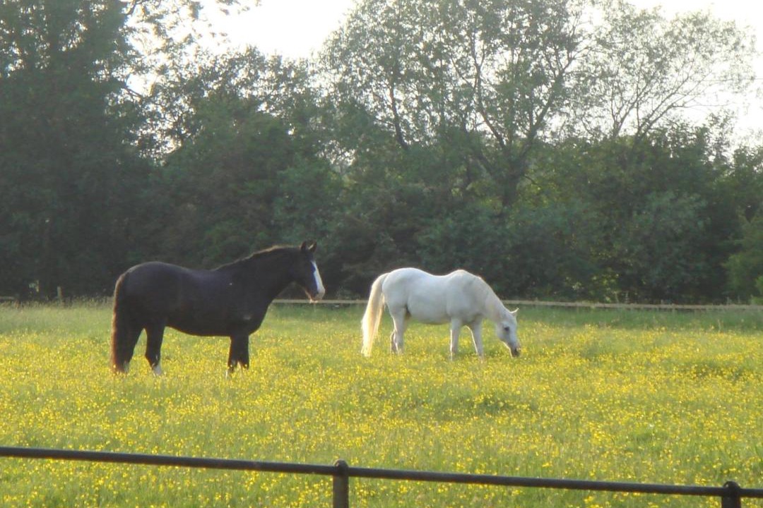 Photo of Others in Combridge