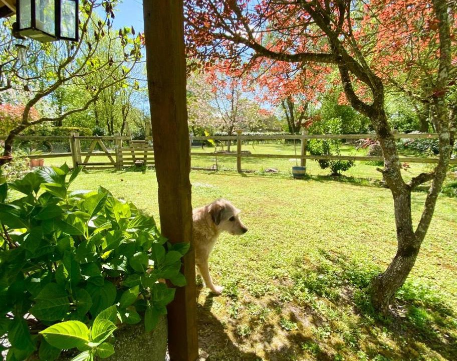 Photo of Others in Paille