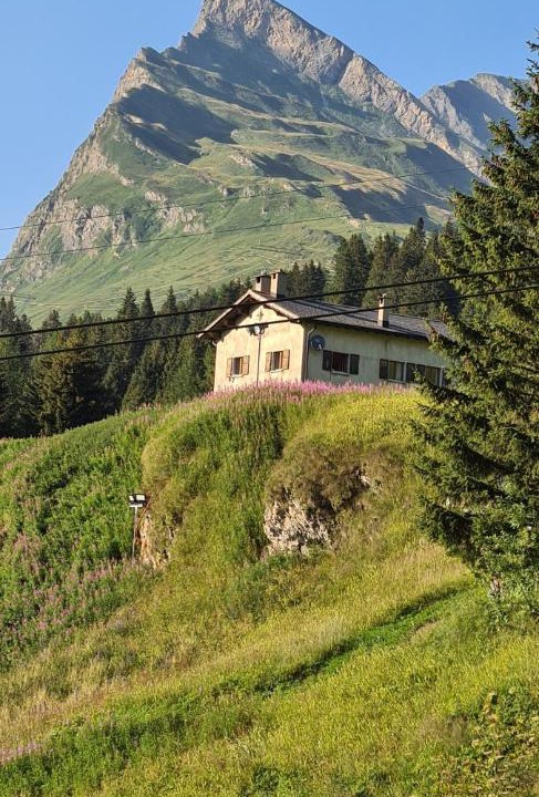 Photo of Others in Mesocco