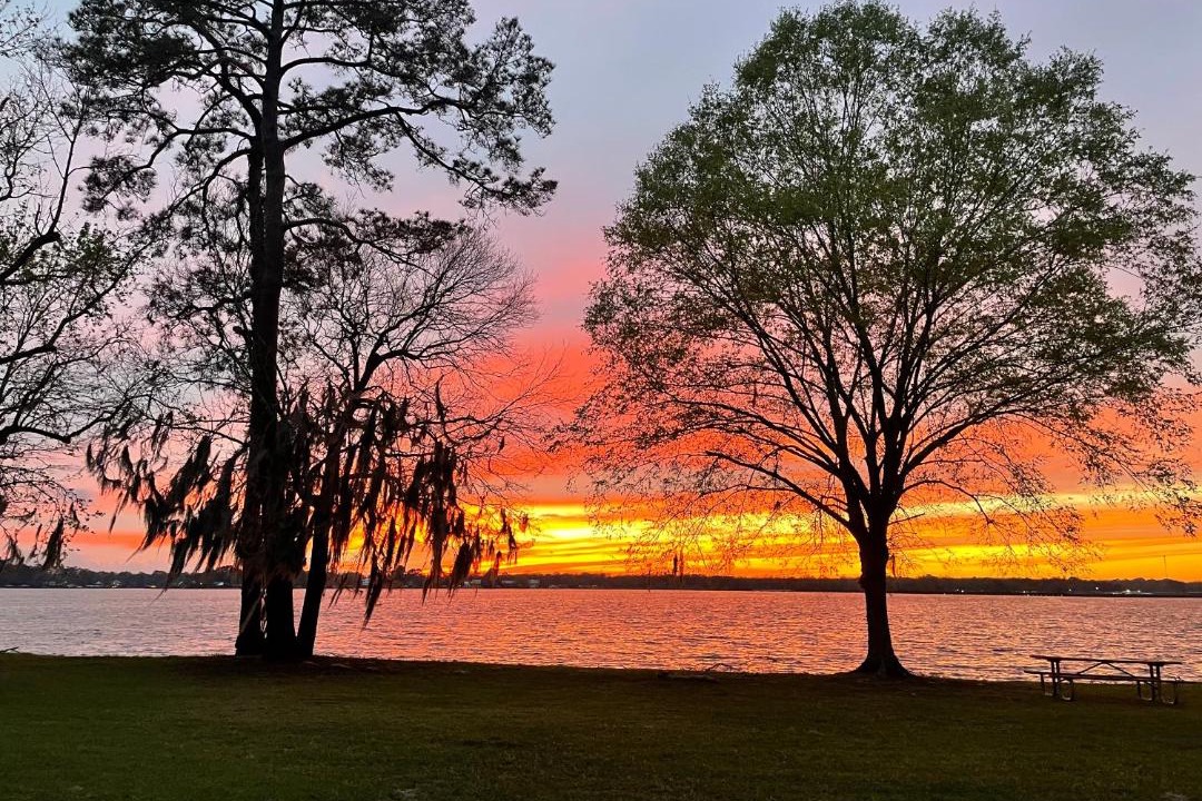 Photo of Others in Cordele