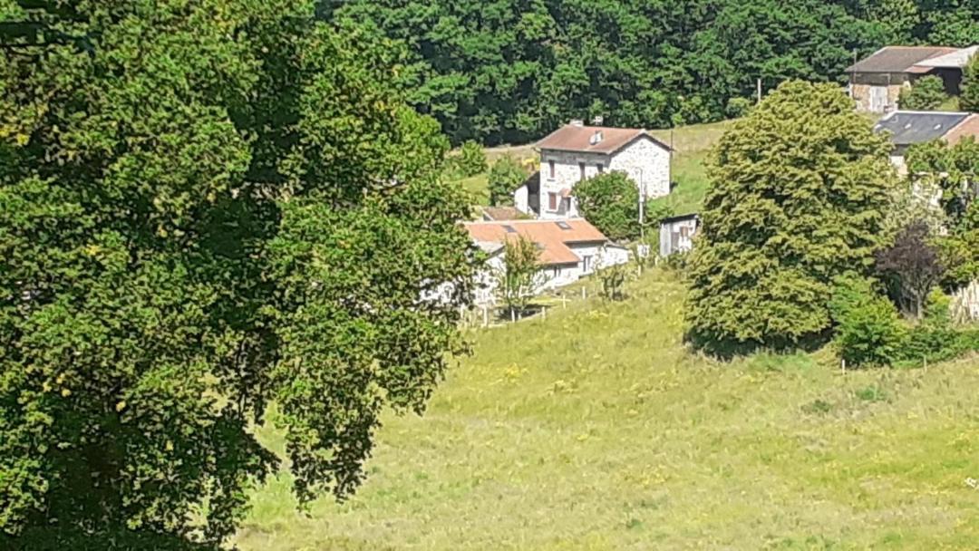 Photo of Buildings in Bujaleuf