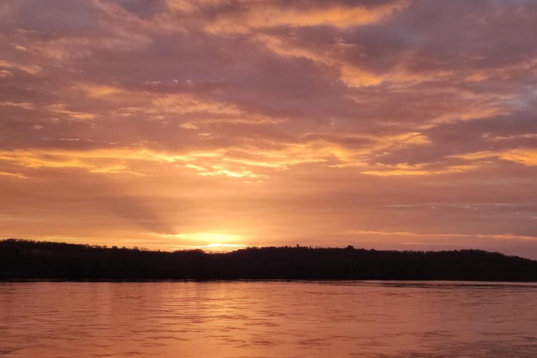 Photo of Others in Saint-Mathurin-sur-Loire