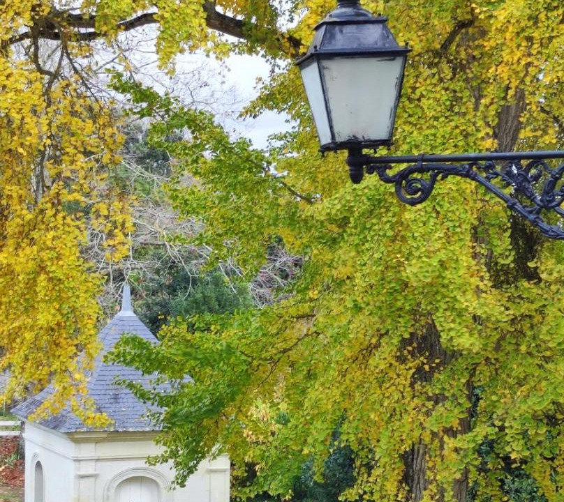 Photo of Others in Saint-Mathurin-sur-Loire