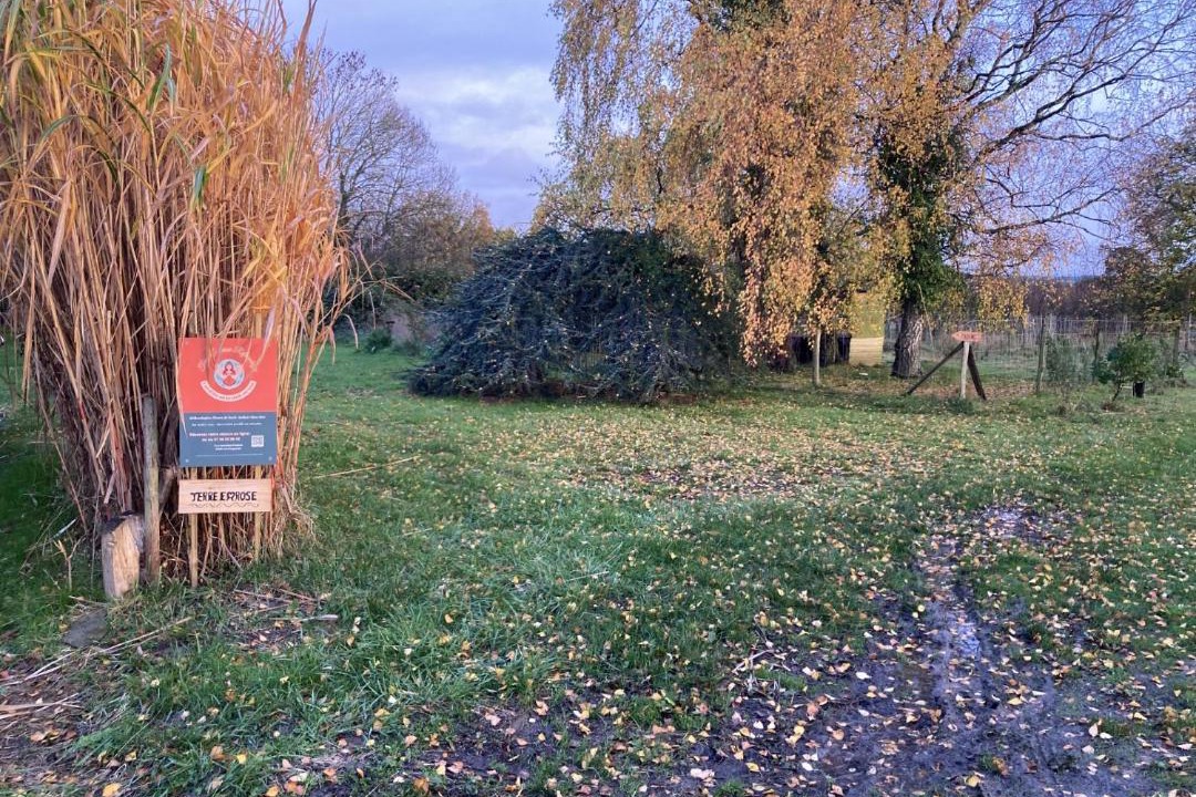 Photo of Others in Pluduno