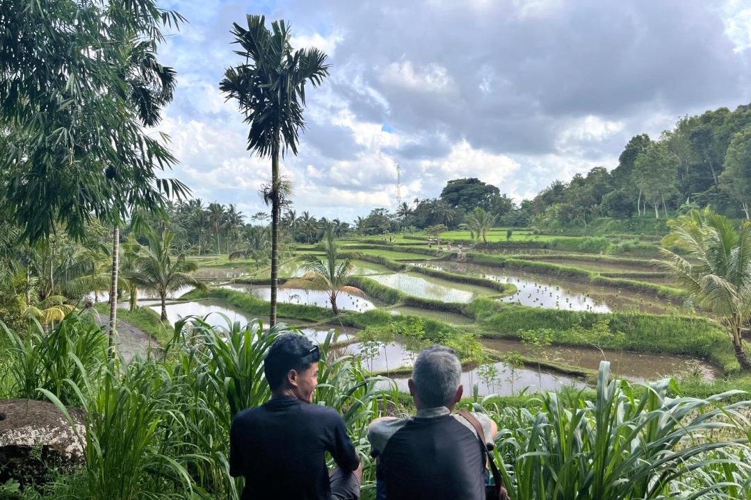 Photo of Others in Tetebatu