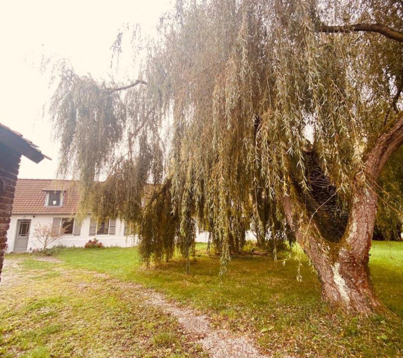 Photo of Others in La Celle-sous-Gouzon