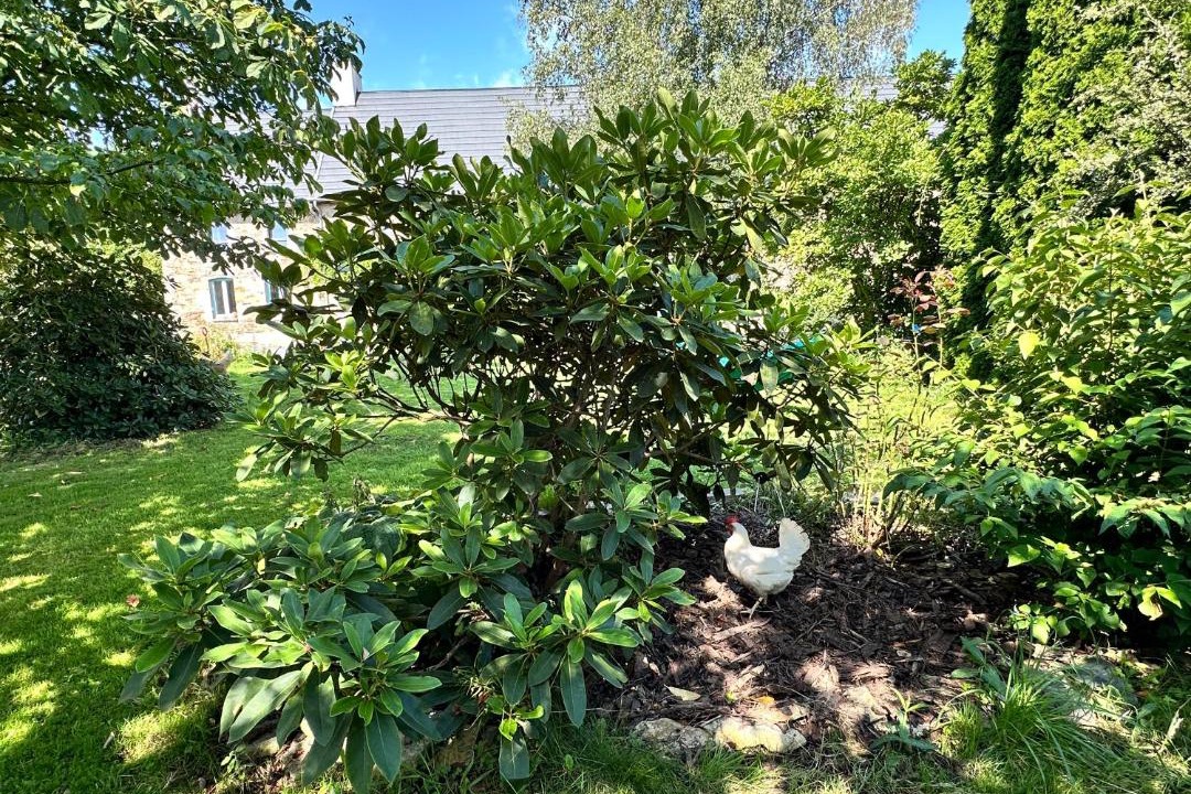 Photo of Others in Saint-Lo