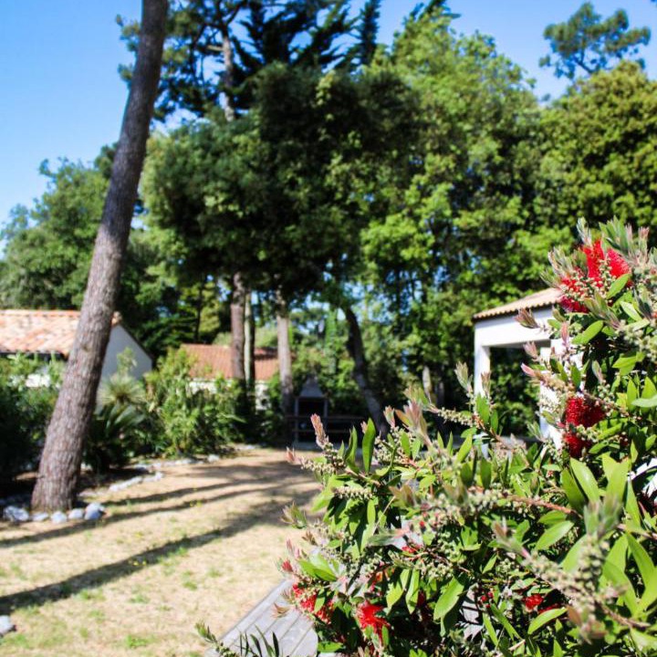 Photo of Others in Bretignolles-sur-Mer