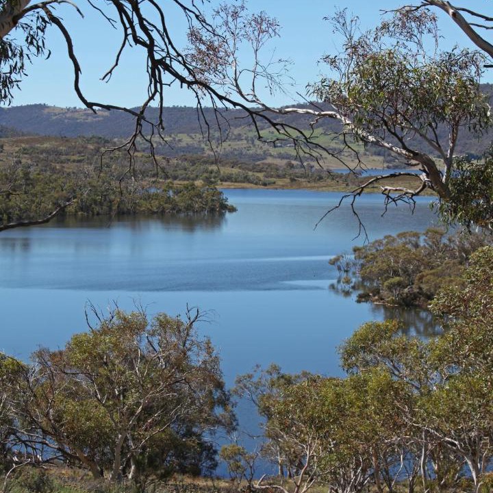 Photo of Others in Jindabyne