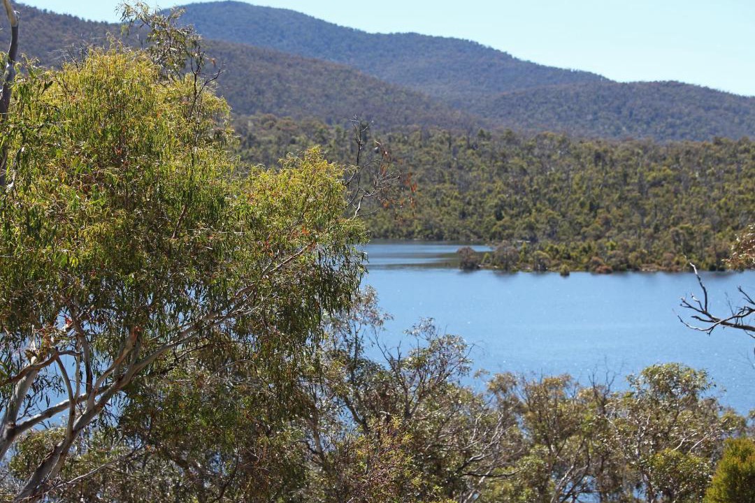 Photo of Others in Jindabyne