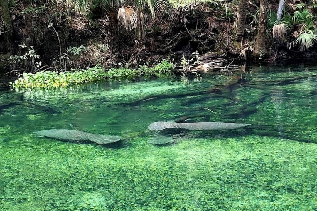 Photo of Others in Lake Helen