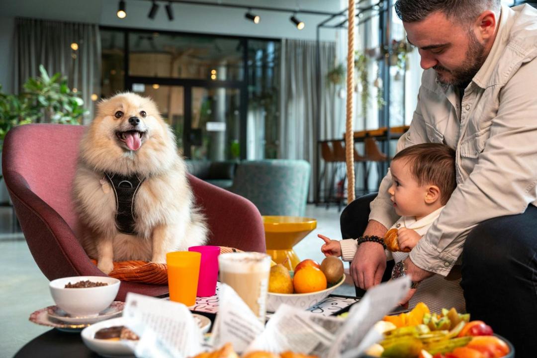 Photo of Others in Montevrain