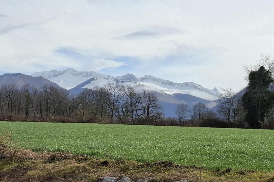 Photo of Others in Gan