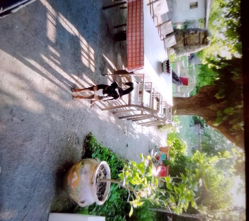 Photo of Others in Bourg-de-Peage