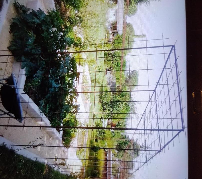 Photo of Others in Bourg-de-Peage