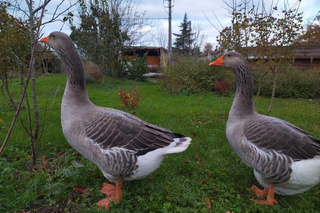 Photo of Others in Bourg-de-Peage