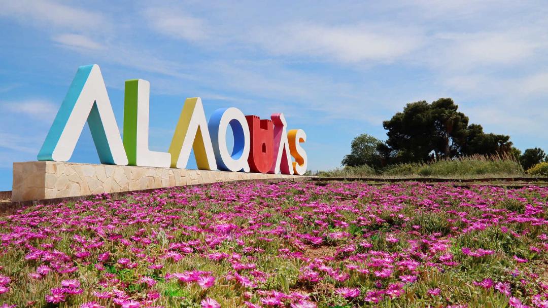 Photo of Others in Alaquas