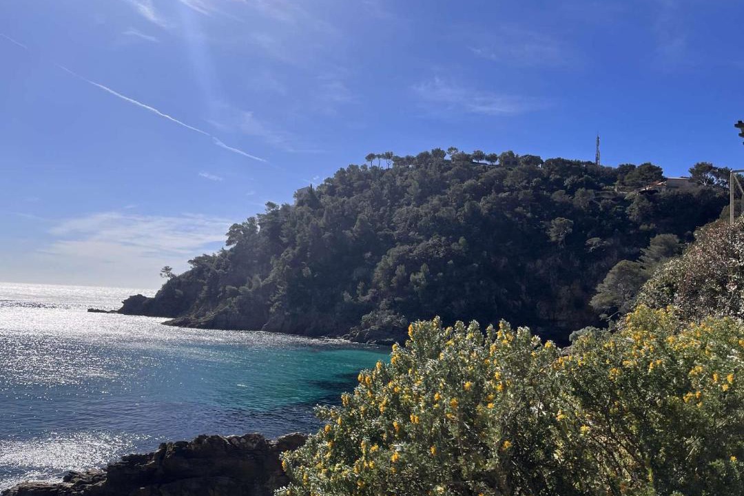 Photo of Others in Cavalaire-sur-Mer
