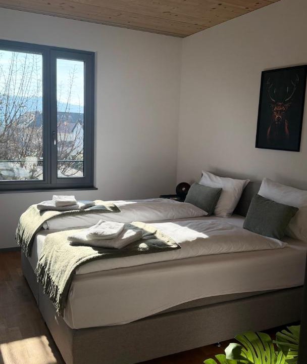 Photo of Bedroom in Wettingen