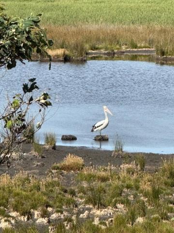 Photo of Others in Princetown
