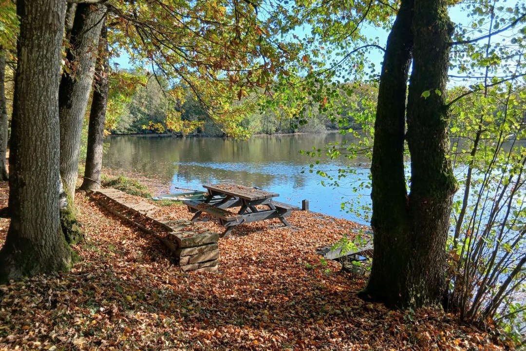 Photo of Others in Vrigne-aux-Bois