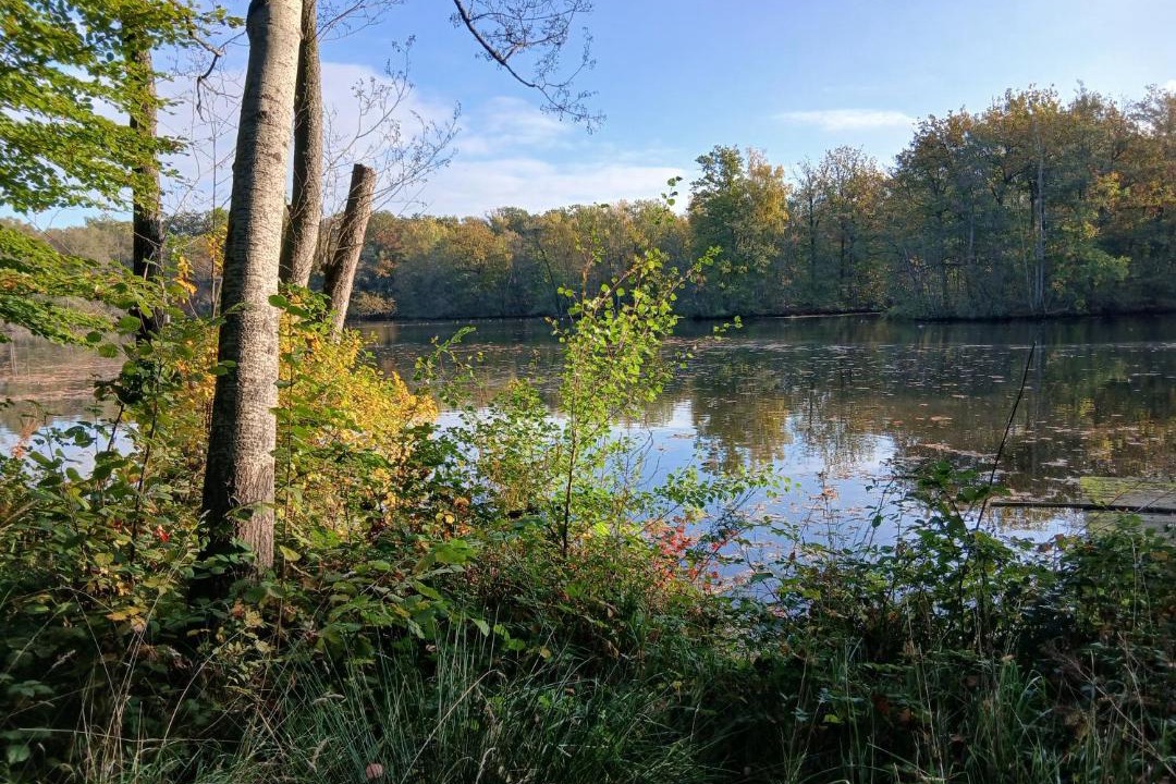 Photo of Others in Vrigne-aux-Bois