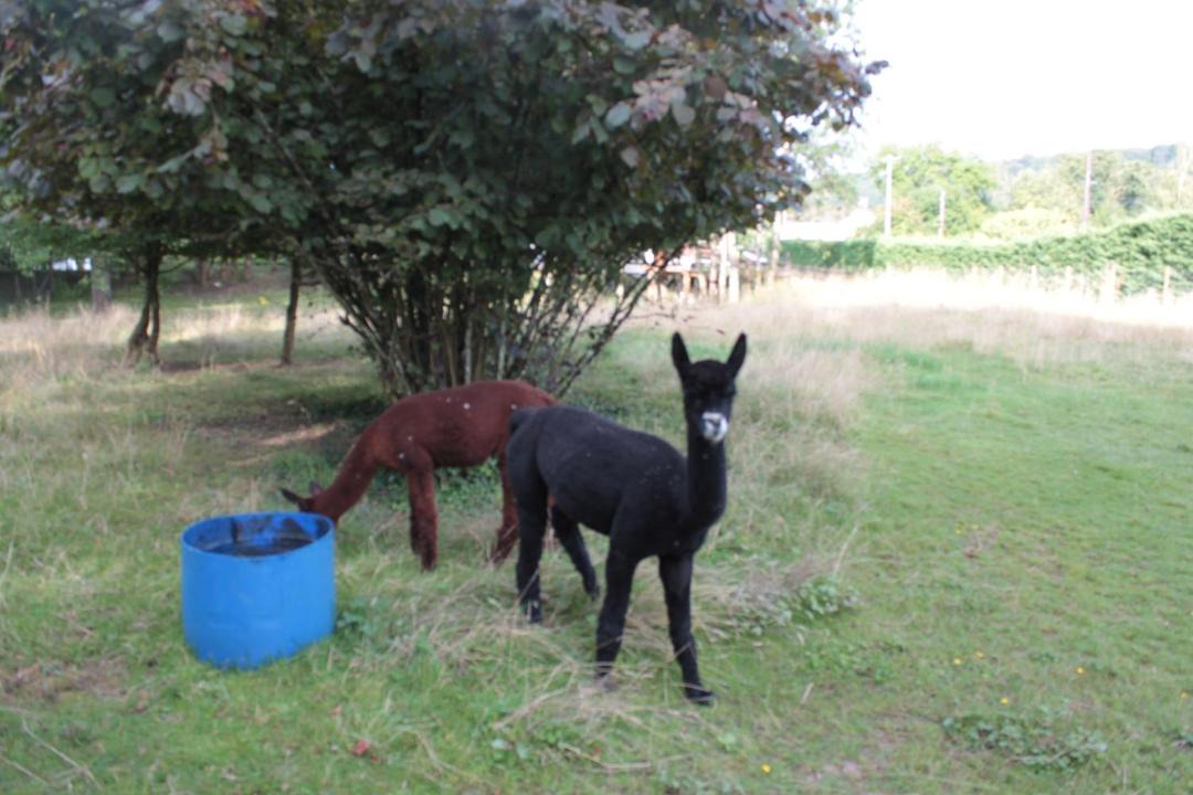 Photo of Others in Vrigne-aux-Bois