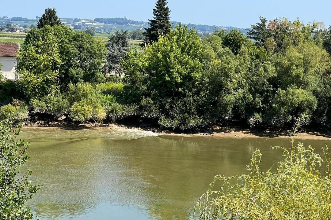 Photo of Others in Grezillac