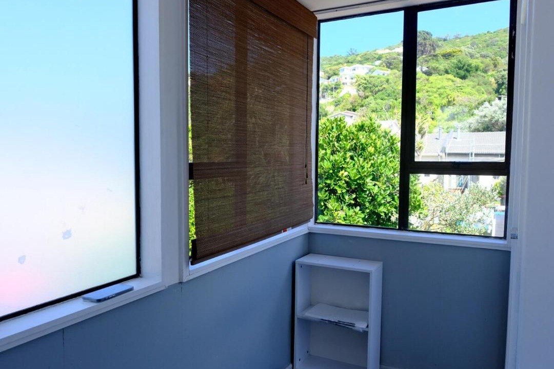 Photo of Others in Lyall Bay